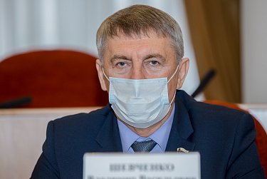 Депутаты приняли отчет полиции 